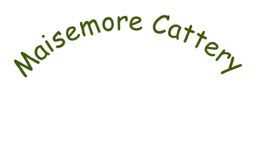 Maisemore Cattery

